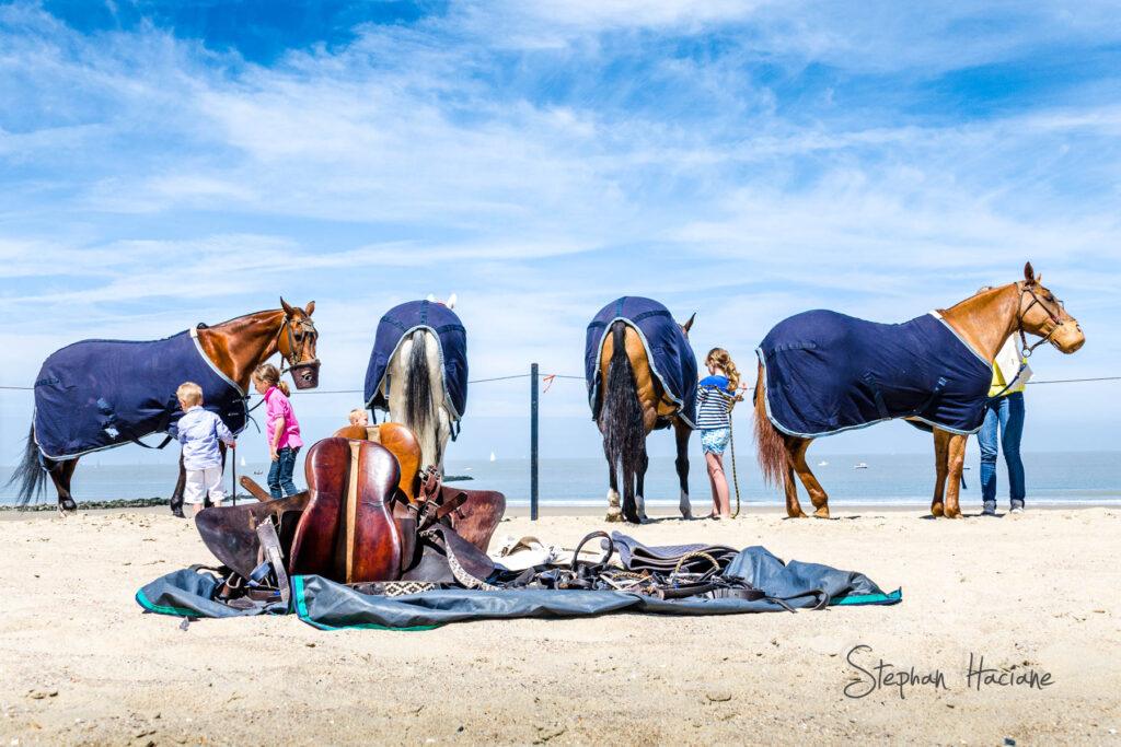 khpol15_DSC_12452-s-W